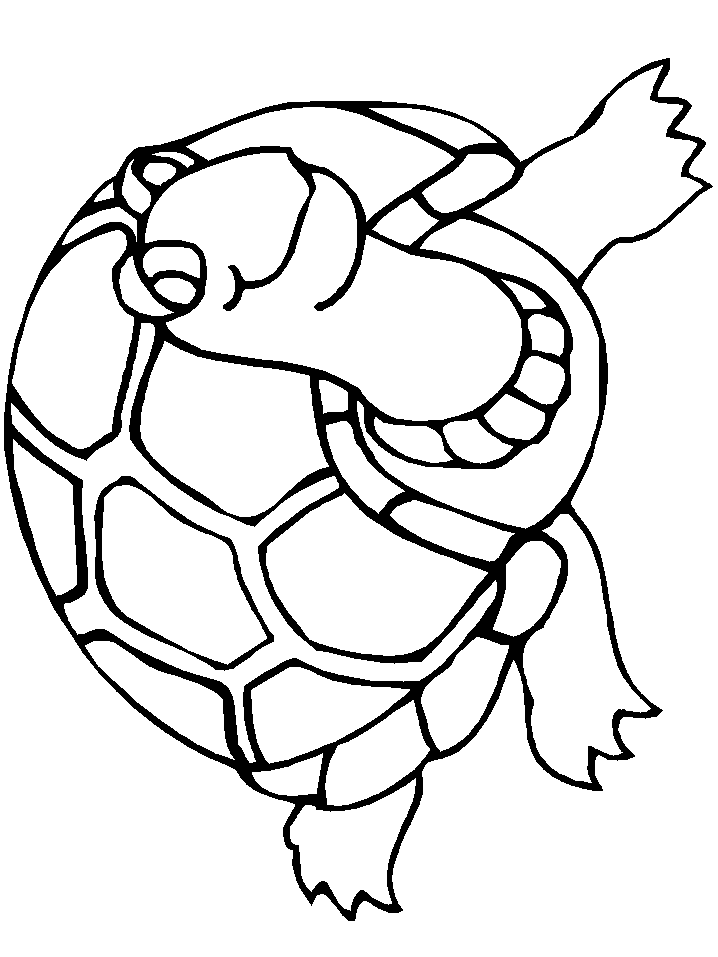 free Turtle coloring page