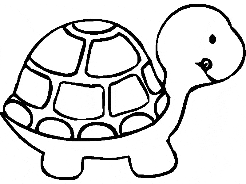 free Turtle coloring page