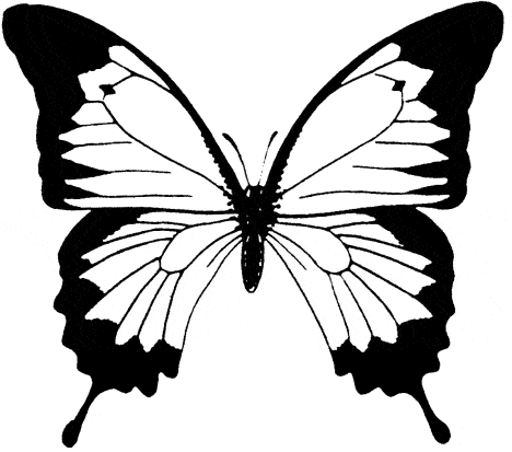 free Ulysses Butterfly coloring page