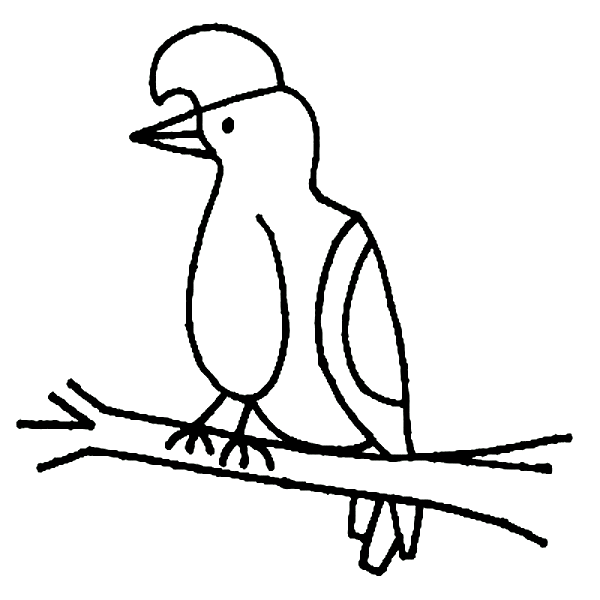 free Umbrella Bird coloring page