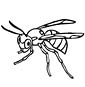 Wasp coloring page