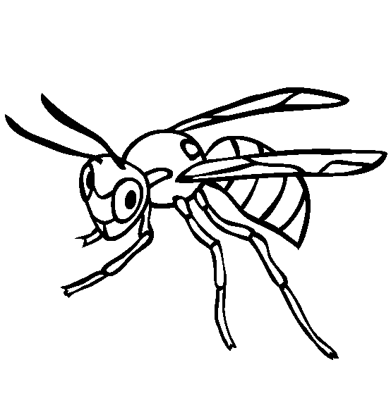 free Wasp coloring page