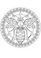 Wasp coloring page