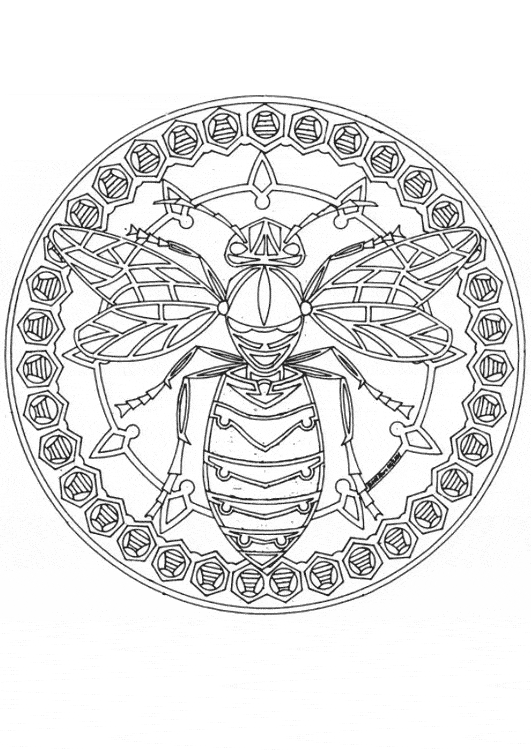 free Wasp coloring page