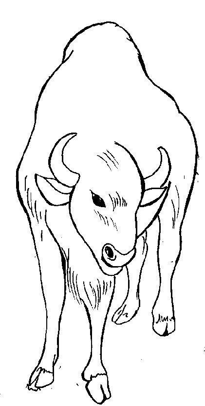 free Water Buffalo coloring page