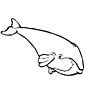 Whale coloring page