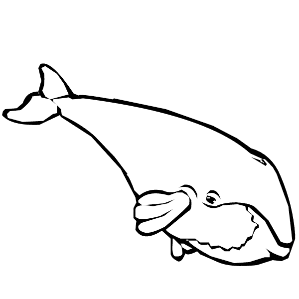 free Whale coloring page