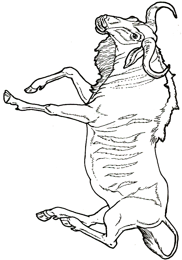 free Wildebeest coloring page