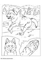 Wolf coloring page