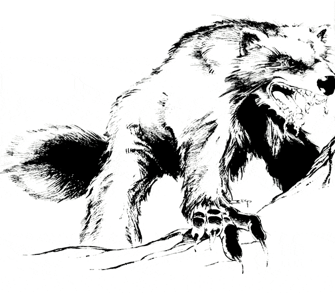 Wolverine Coloring Page Animals Town Animals Color Sheet 