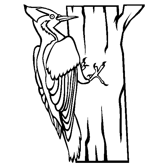 free Woodpecker coloring page