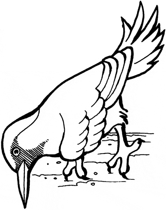 free Woodpecker coloring page