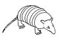 Xenarthra coloring page