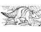 Xenarthra coloring page