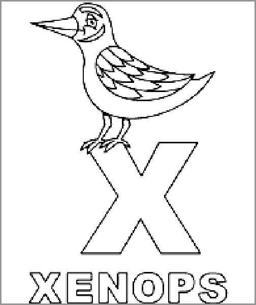 free Xenops coloring page