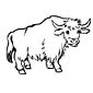 Yak coloring page