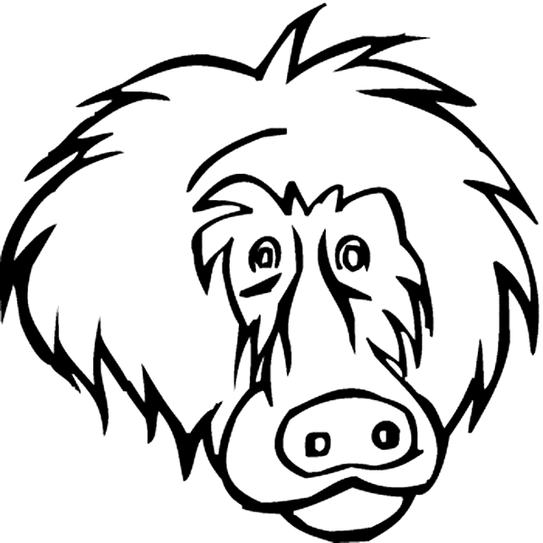 free Yellow Baboon coloring page
