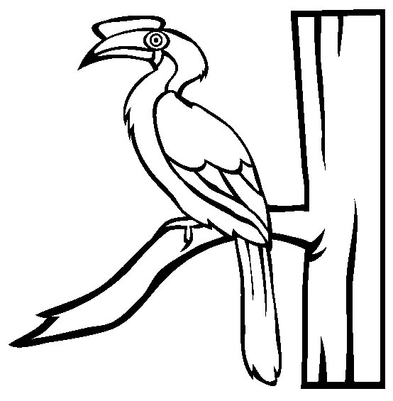free Yellow-billed hornbill coloring page