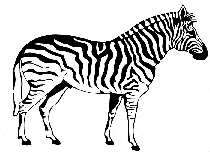 free Zebra coloring page