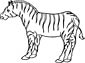 printable zebra coloring