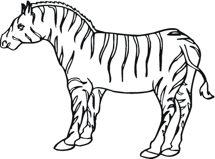 free Zebra coloring page