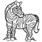 Zebra coloring page