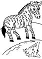 Zebra coloring page