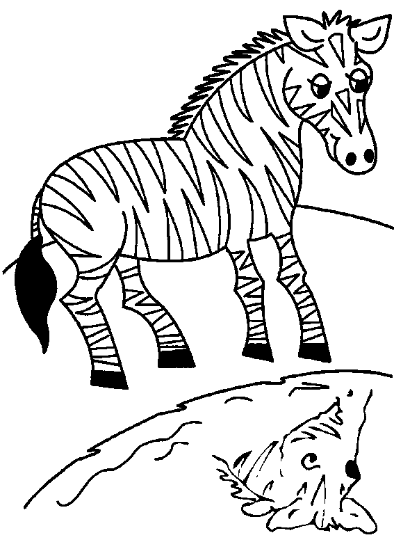 free Zebra coloring page